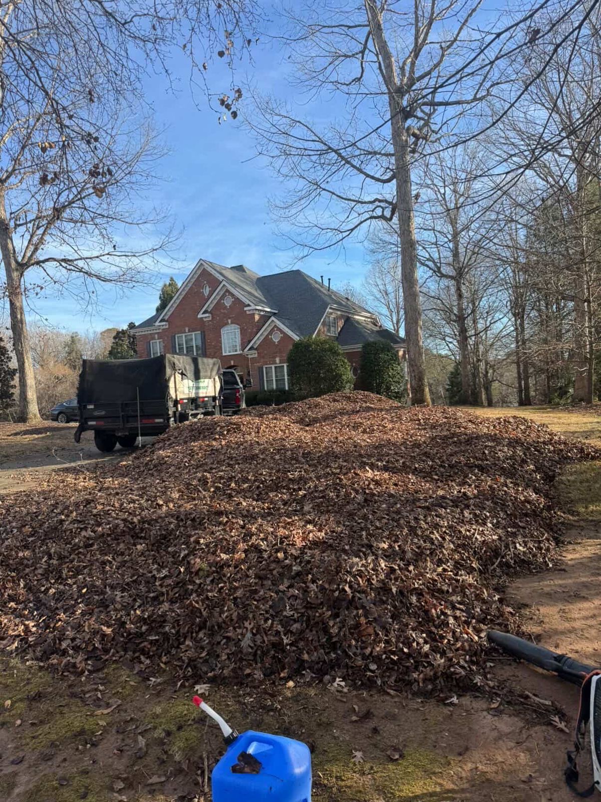 Premium Sod Installation